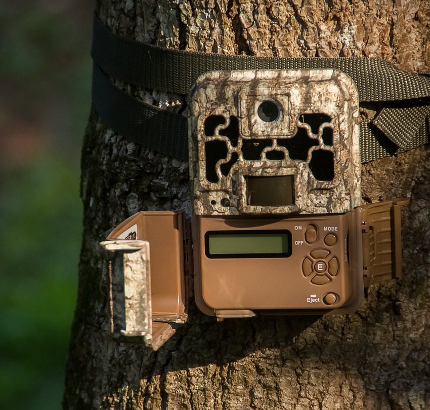 Trail Camera; Game Camera; Archery; Bowhunting; Deer