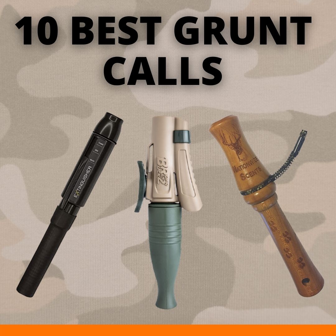 Best Grunt Calls