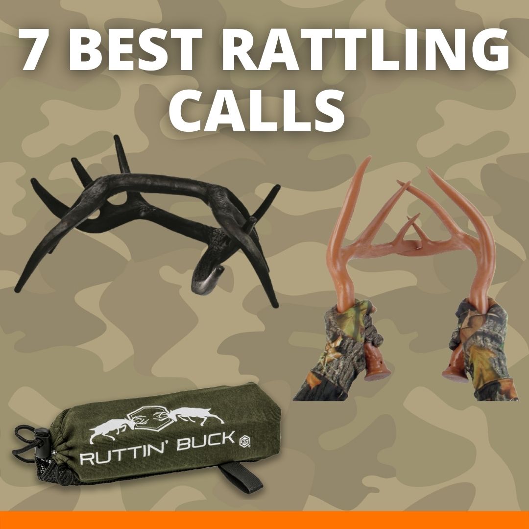 Best Rattling Calls for Hunting